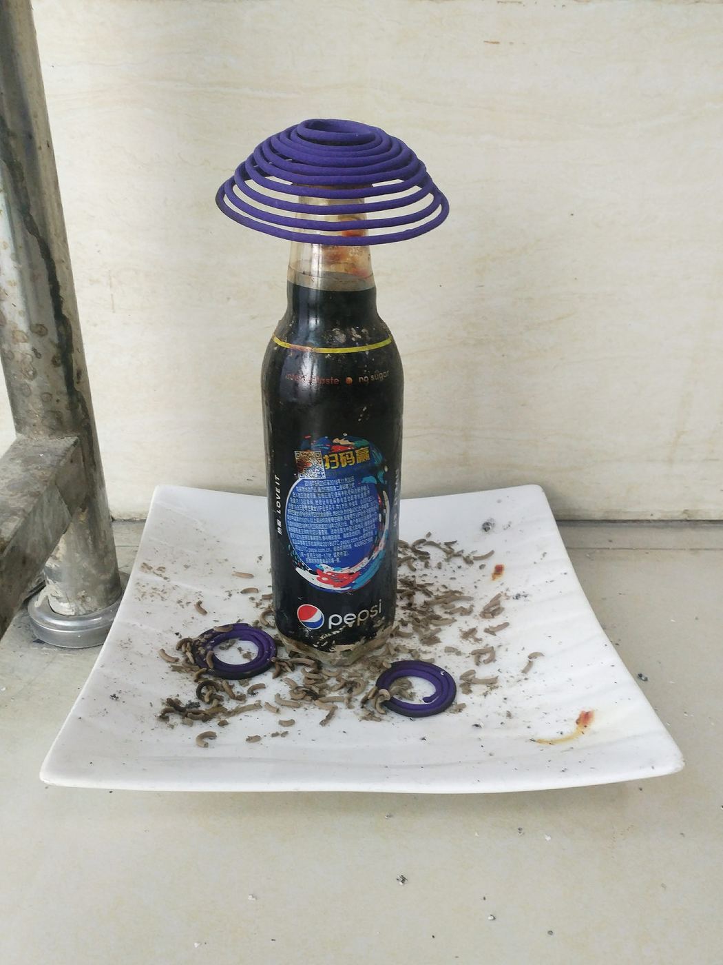 A Pepsi bottle used as an incense burner