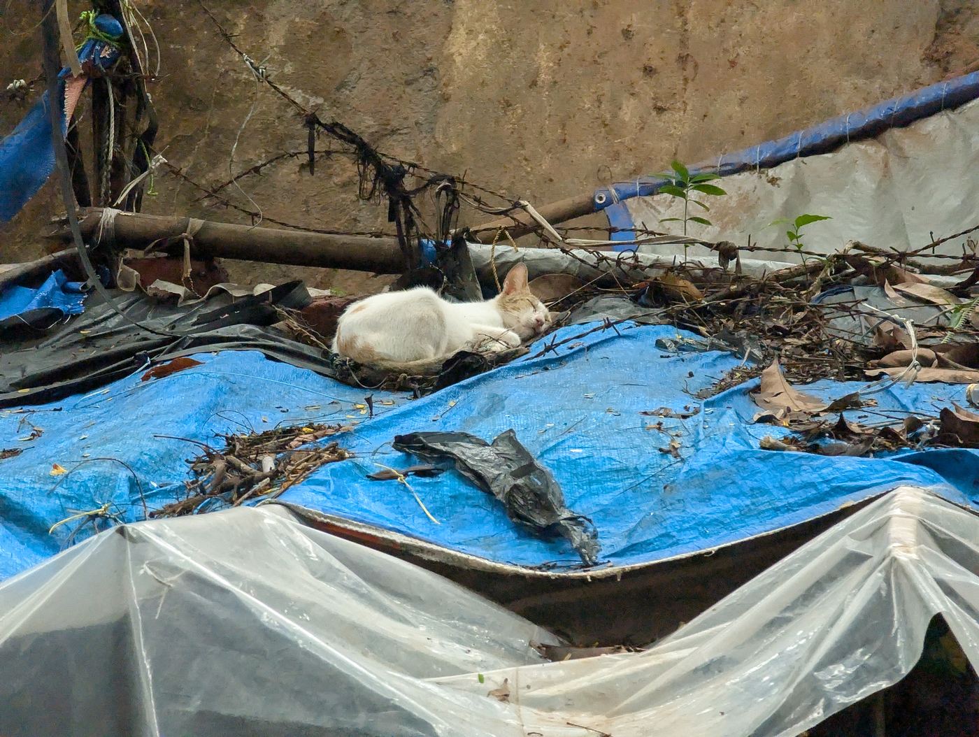 A tarp patched over rubble in the street