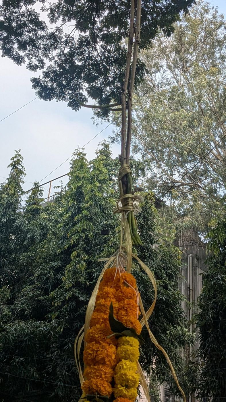 Hung from a tree with marigold garlands